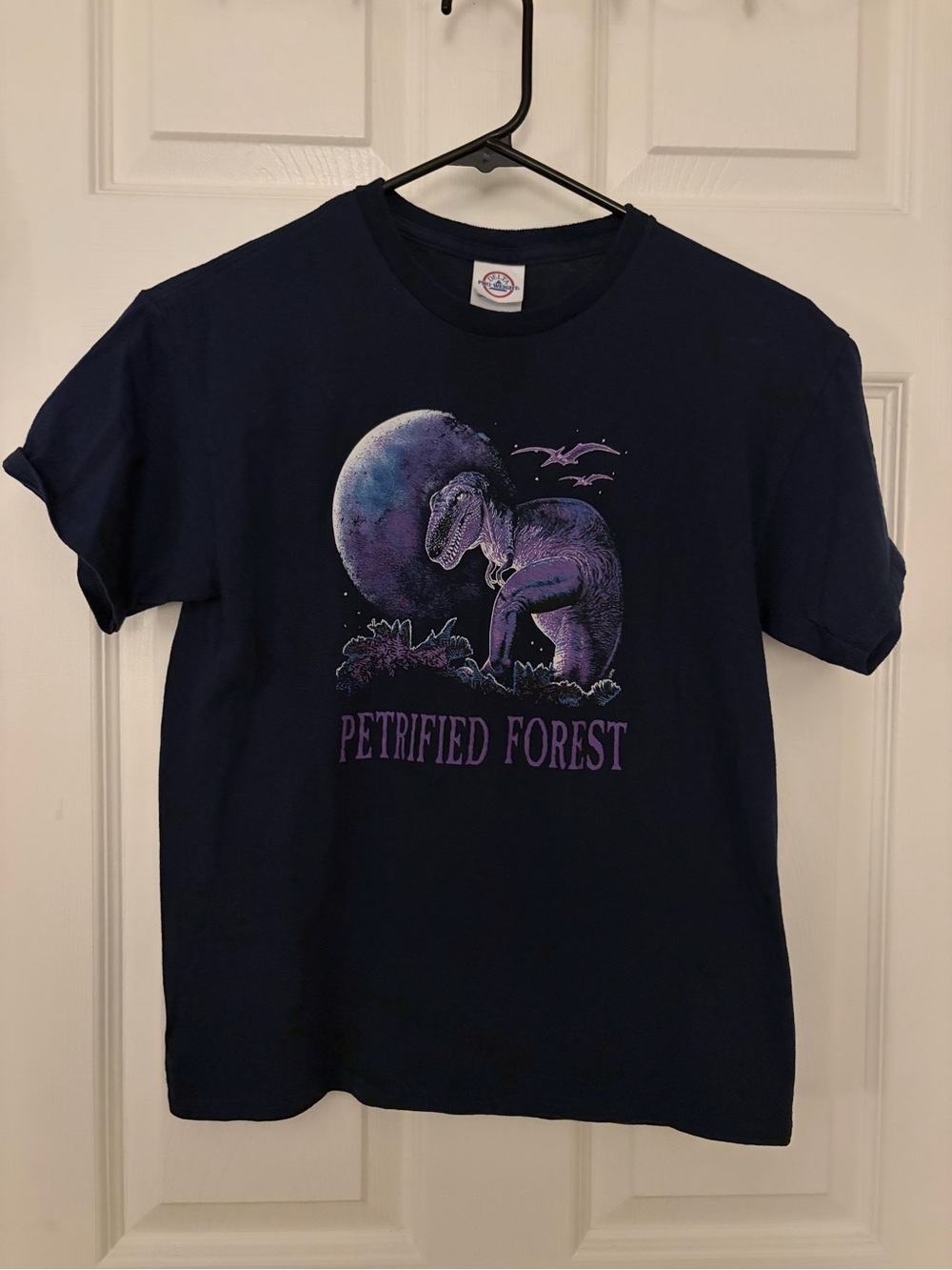 Delta Navy Tee with Purple Dinosaur Graphic